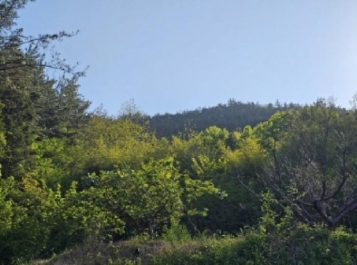 전라남도 순천시 해룡면 상내리 109 전 경매 사진 14