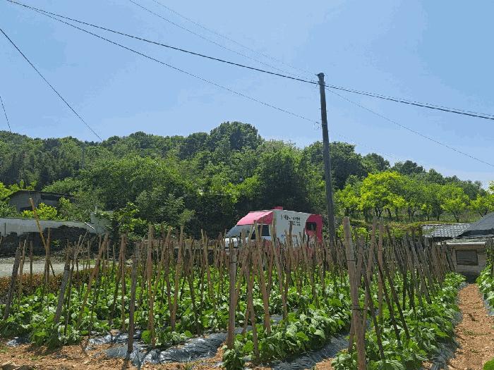 전라남도 여수시 율촌면 월산리 산79 임야 경매 사진 2