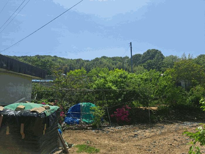 전라남도 여수시 율촌면 월산리 산79 임야 경매 사진 4