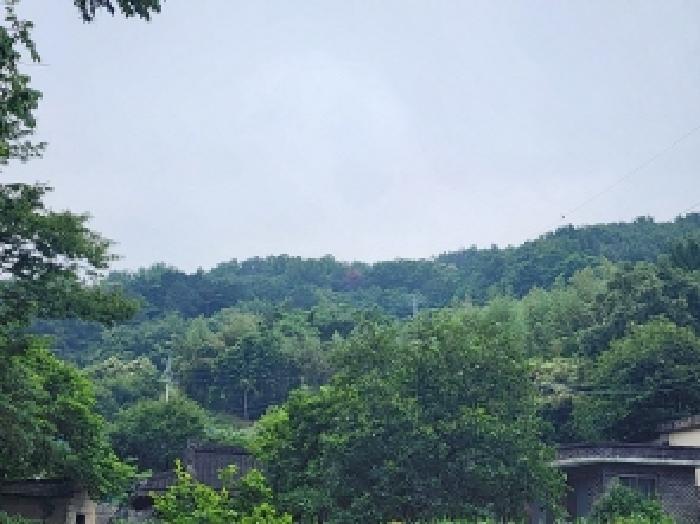 전라남도 여수시 율촌면 월산리 산79 임야 경매 사진 8
