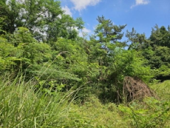 전라남도 순천시 별량면 우산리 341 전 경매 사진 10