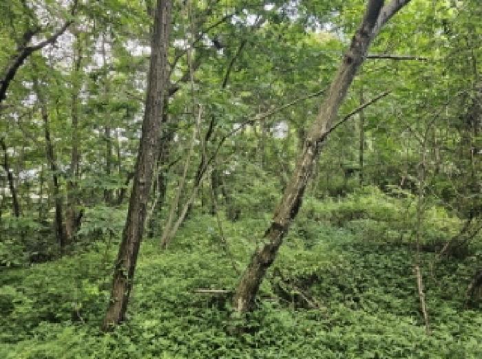 전라남도 순천시 별량면 우산리 341 전 경매 사진 12