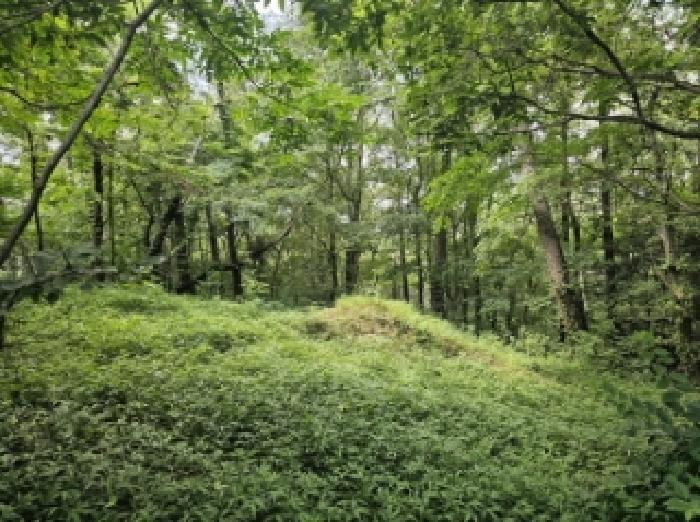 전라남도 순천시 별량면 우산리 341 전 경매 사진 13