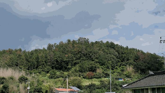 전라남도 순천시 별량면 우산리 341 전 경매 사진 4