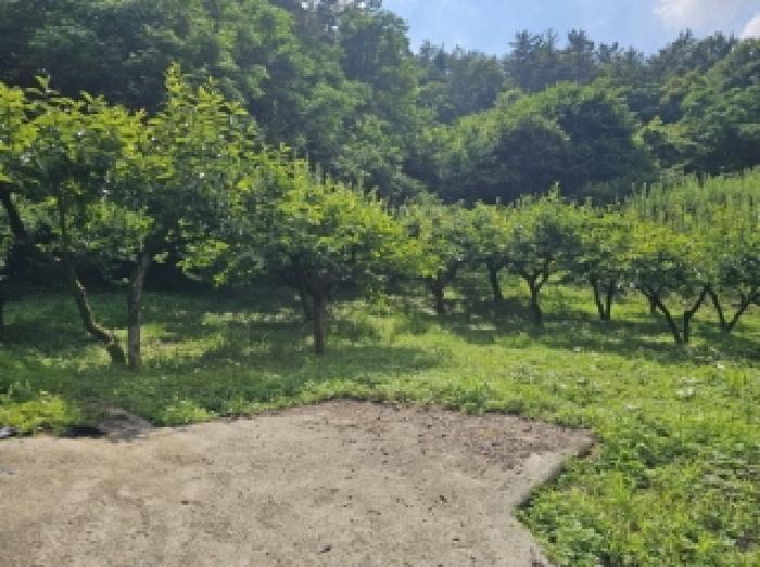 전라남도 순천시 별량면 우산리 341 전 경매 사진 5