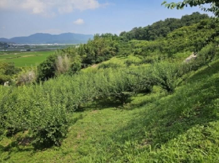 전라남도 순천시 별량면 우산리 341 전 경매 사진 6