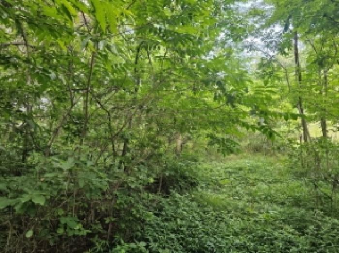 전라남도 순천시 별량면 우산리 341 전 경매 사진 8