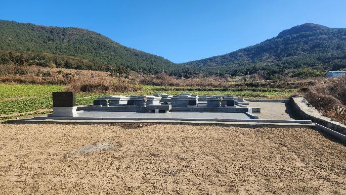 전라남도 완도군 청산면 읍리 442 전 경매 사진 5