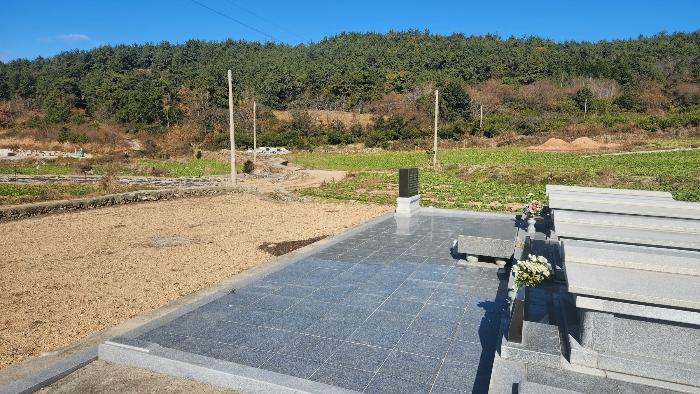 전라남도 완도군 청산면 읍리 512 전 경매 사진 3