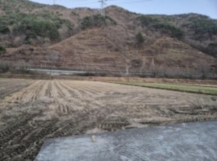 경상남도 고성군 상리면 오산리 264-9 답 경매 사진 3