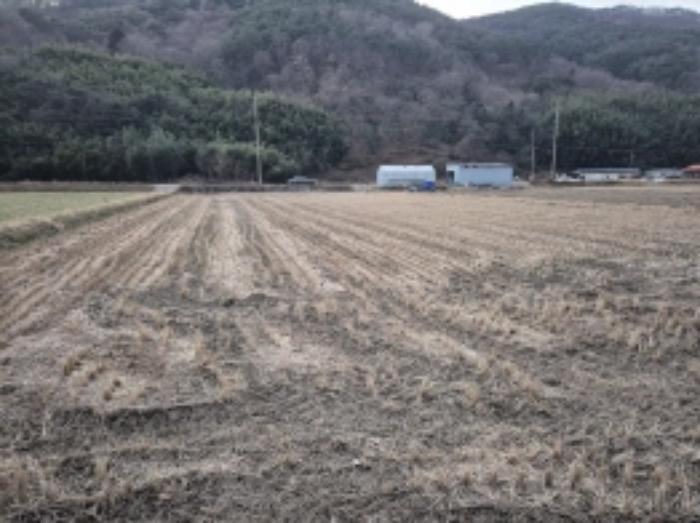 경상남도 고성군 상리면 오산리 264-9 답 경매 사진 4