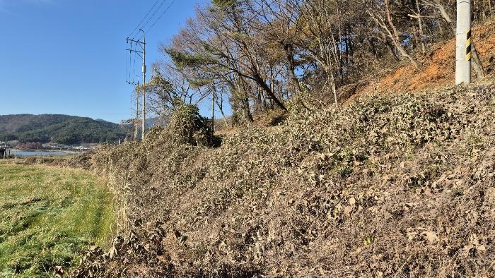 경상남도 고성군 대가면 암전리 256-7 답 경매 사진 3