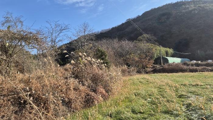 경상남도 고성군 대가면 암전리 256-7 답 경매 사진 4