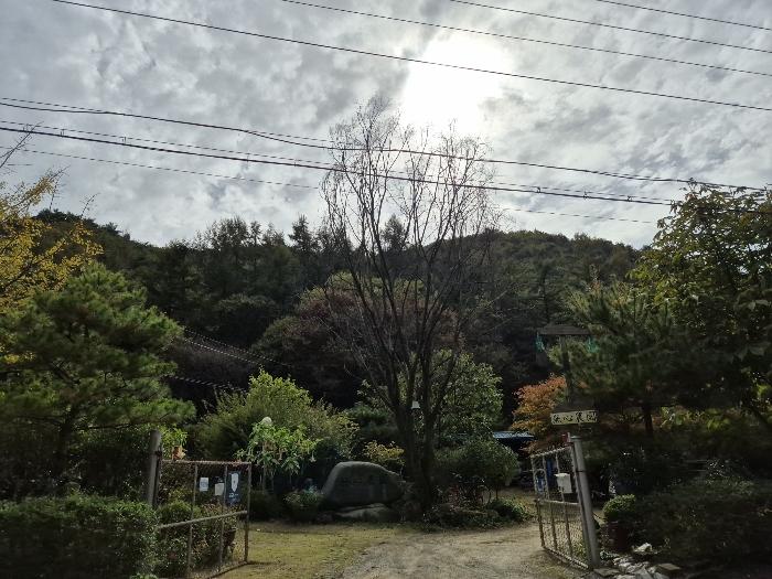 충청북도 음성군 원남면 덕정리 11 임야 경매 사진 4