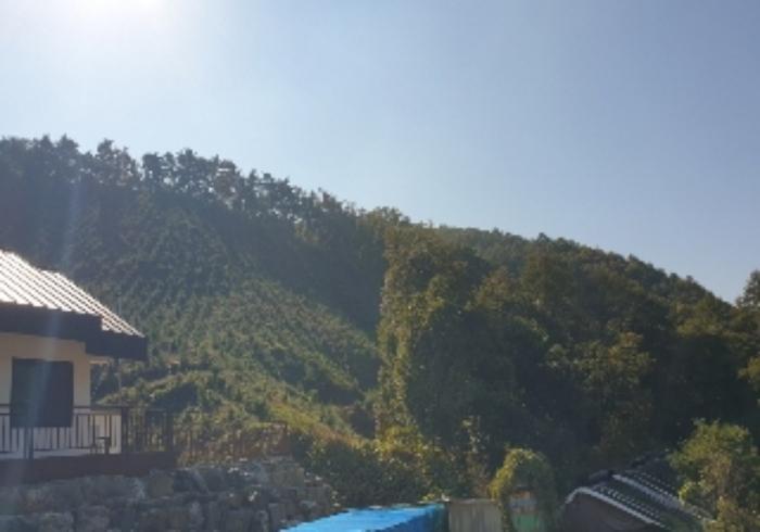 충청북도 음성군 원남면 덕정리 11 임야 경매 사진 7