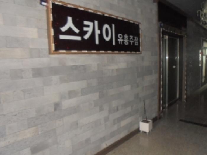충청북도 음성군 맹동면 장성3길 13-5, 3층303호 (스카이타워)구) 충청북도 음성군 맹동면 두성리 1474 근린상가 경매 사진 4