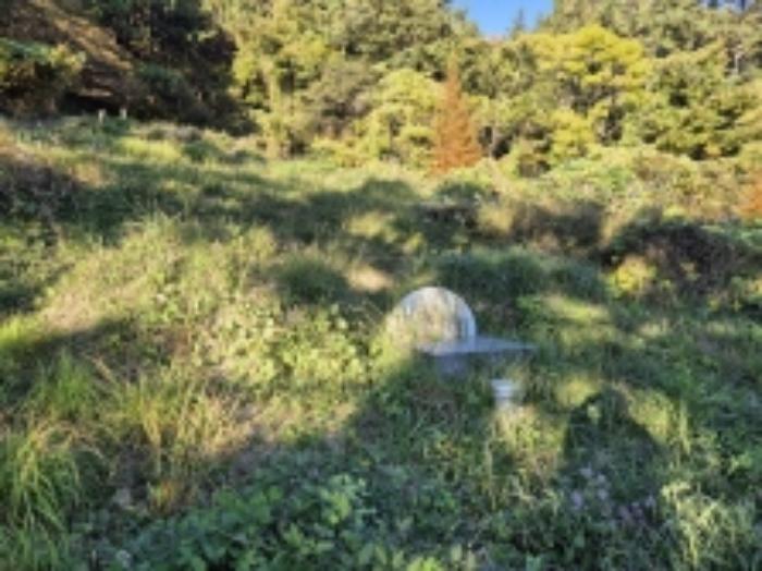 경상남도 고성군 하이면 와룡리 497 답 경매 사진 13