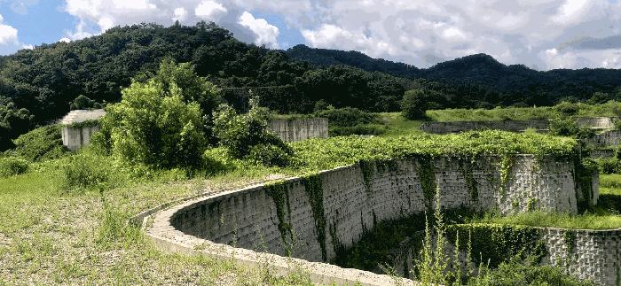 충청북도 음성군 음성읍 신천리 산22-4 임야 경매 사진 1