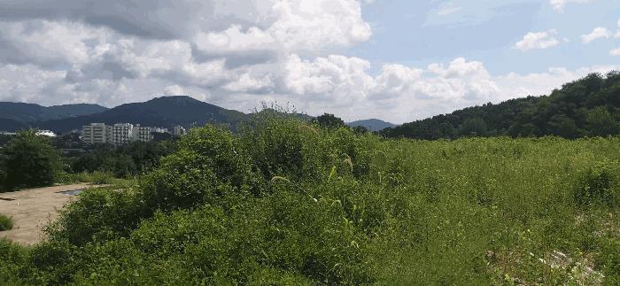 충청북도 음성군 음성읍 신천리 산22-4 임야 경매 사진 10