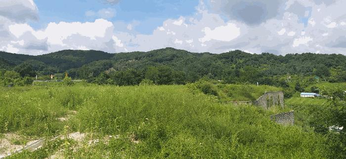 충청북도 음성군 음성읍 신천리 산22-4 임야 경매 사진 13