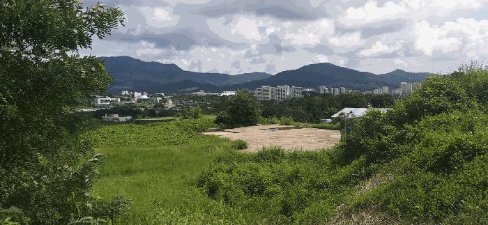 충청북도 음성군 음성읍 신천리 산22-4 임야 경매 사진 14