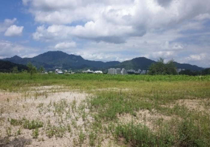 충청북도 음성군 음성읍 신천리 산22-4 임야 경매 사진 25