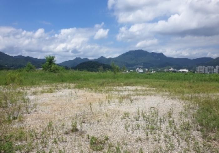 충청북도 음성군 음성읍 신천리 산22-4 임야 경매 사진 26