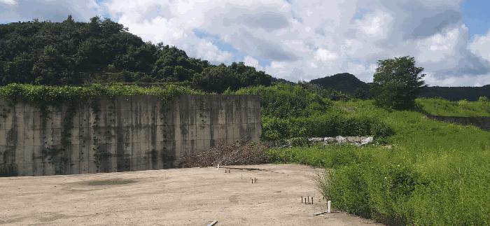 충청북도 음성군 음성읍 신천리 산22-4 임야 경매 사진 3