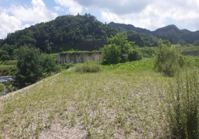 충청북도 음성군 음성읍 신천리 산22-4 임야 경매 사진 31