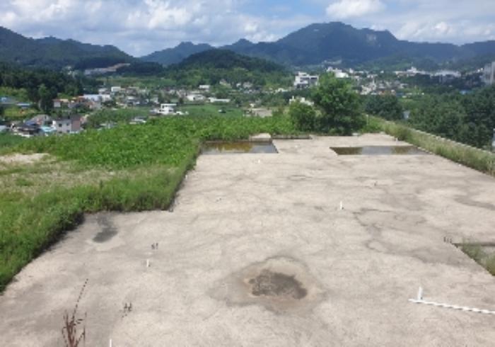 충청북도 음성군 음성읍 신천리 산22-4 임야 경매 사진 33