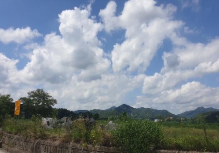 충청북도 음성군 음성읍 신천리 산22-4 임야 경매 사진 34