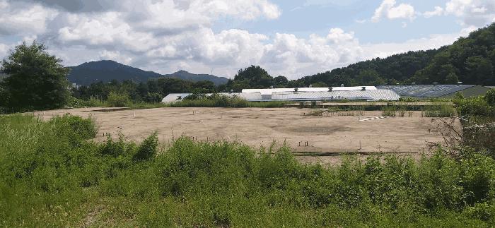 충청북도 음성군 음성읍 신천리 산22-4 임야 경매 사진 5
