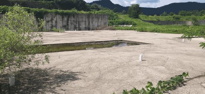 충청북도 음성군 음성읍 신천리 산22-4 임야 경매 사진 6