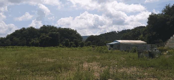 충청북도 음성군 음성읍 신천리 산22-4 임야 경매 사진 8