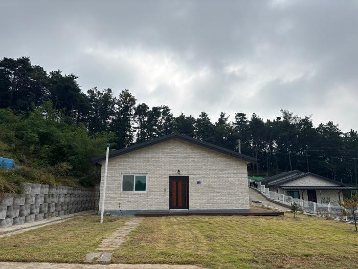 충청북도 충주시 신니면 신청리 426-65 임야 경매 사진 11