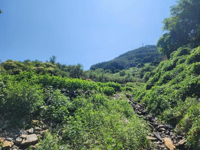 충청북도 충주시 종민동 888-2 전 경매 사진 1