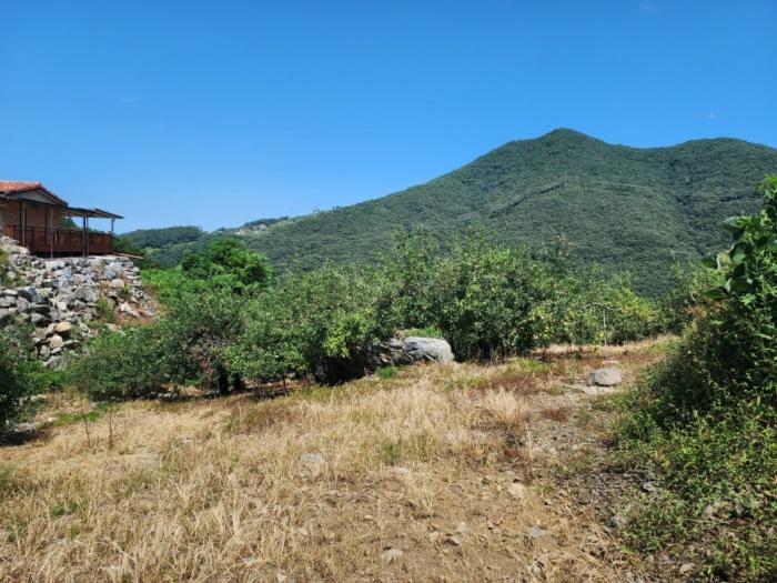 충청북도 충주시 종민동 888-2 전 경매 사진 3