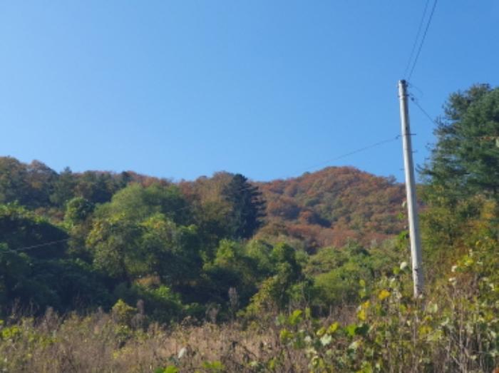 경기도 가평군 청평면 호명리 산108 임야 경매 사진 11