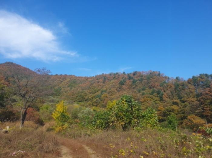 경기도 가평군 청평면 호명리 산108 임야 경매 사진 15