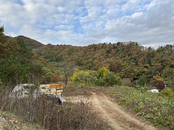 경기도 가평군 청평면 호명리 산118 임야 경매 사진 3