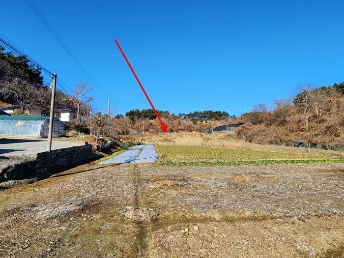 충청남도 태안군 태안읍 장산리 568 답 경매 사진 1