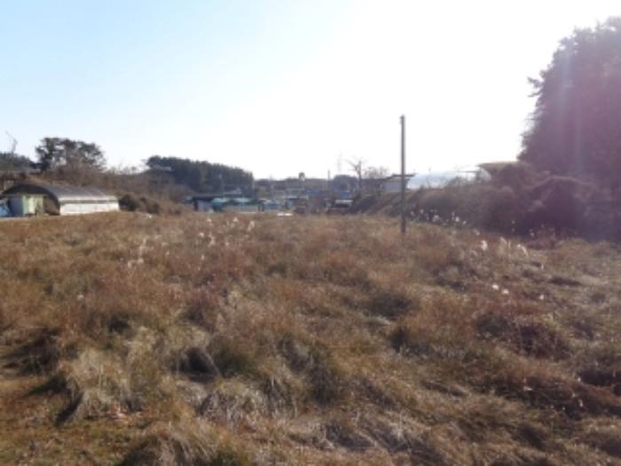 충청남도 태안군 태안읍 장산리 568 답 경매 사진 10