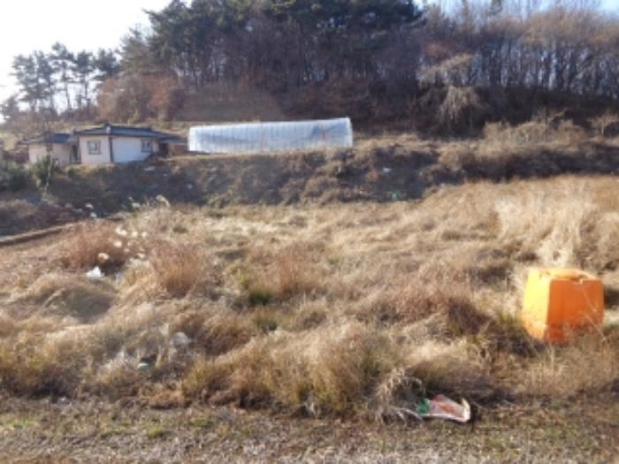 충청남도 태안군 태안읍 장산리 568 답 경매 사진 14