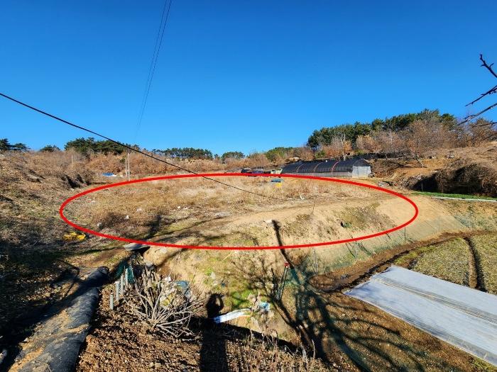 충청남도 태안군 태안읍 장산리 568 답 경매 사진 2