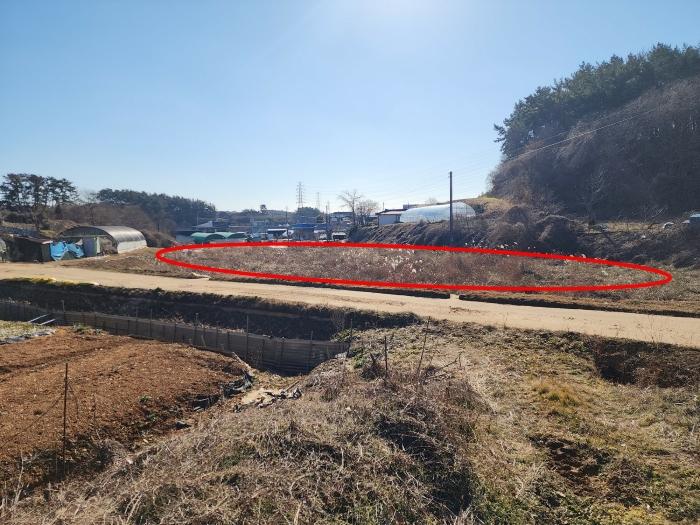 충청남도 태안군 태안읍 장산리 568 답 경매 사진 3