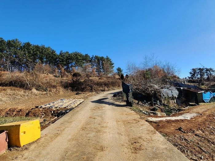 충청남도 태안군 태안읍 장산리 568 답 경매 사진 6