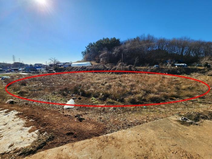 충청남도 태안군 태안읍 장산리 568 답 경매 사진 7