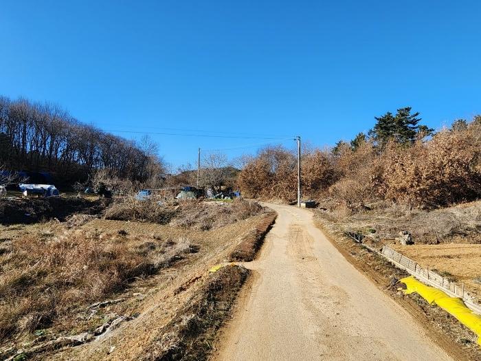 충청남도 태안군 태안읍 장산리 568 답 경매 사진 8