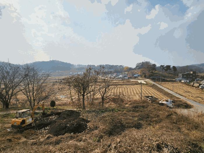 충청남도 당진시 송악읍 가학리 286-5 과수원 경매 사진 10