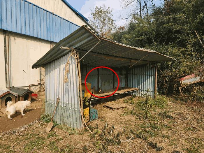 충청남도 당진시 송악읍 가학리 286-5 과수원 경매 사진 16